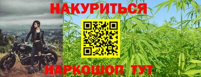 гашик Будённовск