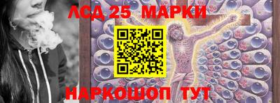 гашик Будённовск
