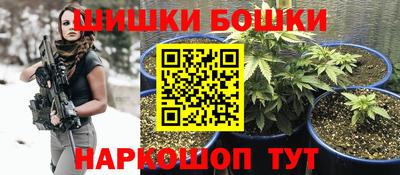 гашик Будённовск