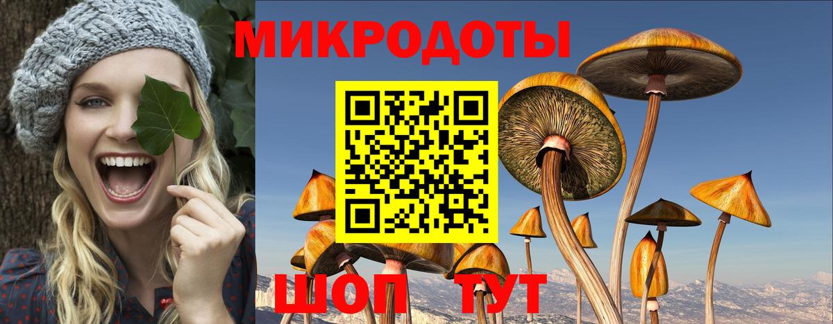 Галлюциногенные грибы мицелий  Вход с VPN  Людиново 