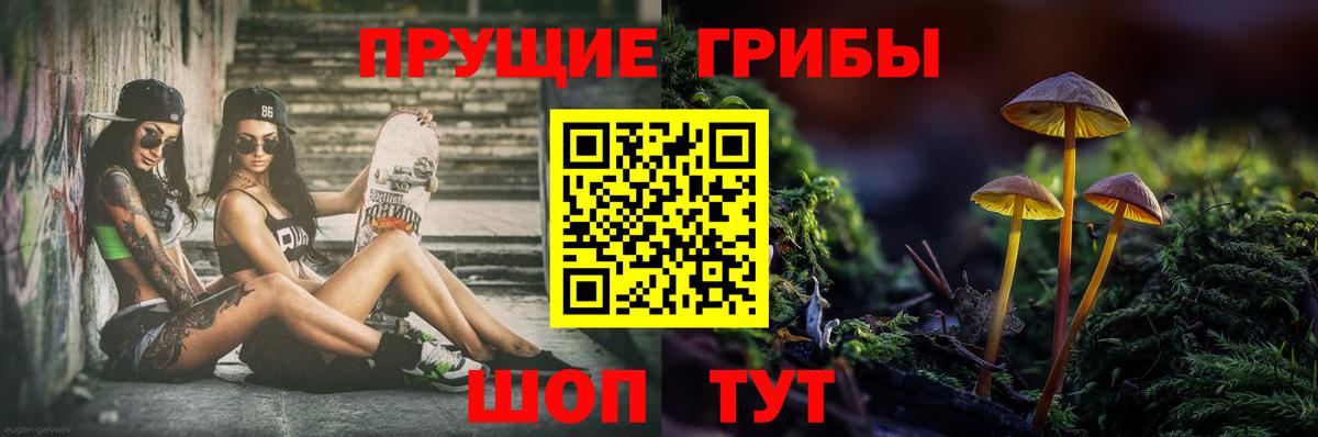 Галлюциногенные грибы MAGIC MUSHROOMS Людиново